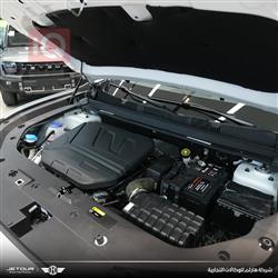 جيتور داشينج